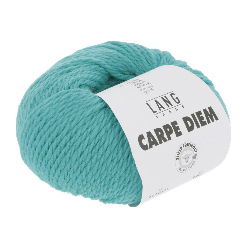 Carpe Diem Lang yarns